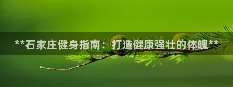 龙8国际是什么