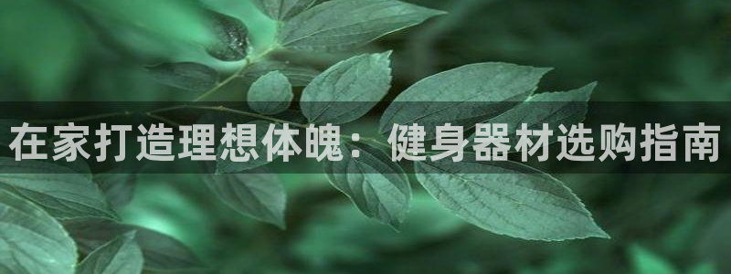 龙8国际app下载客户端