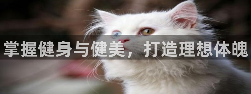 龙8国际官网版最新版下载