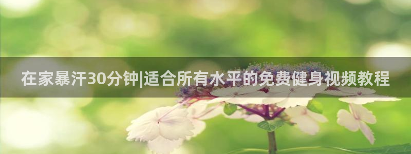 龙8国际pt