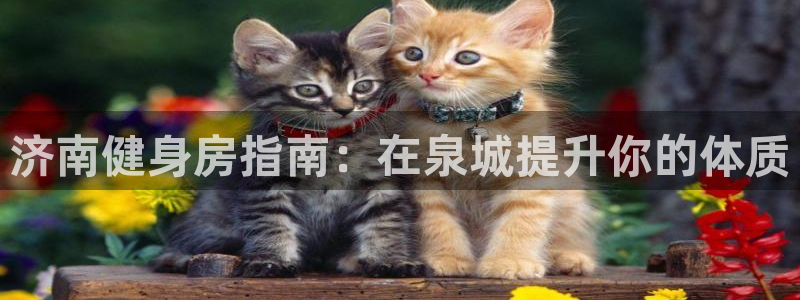 龙8国际安卓官方版fxzls-1.2.1 -安卓