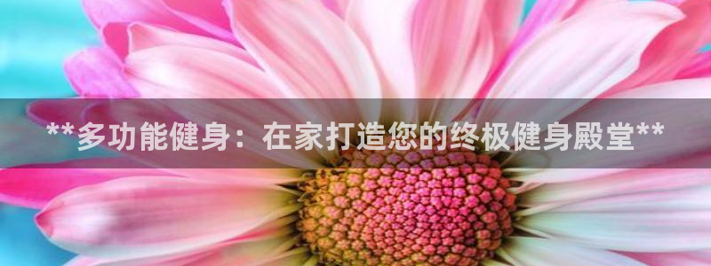 龙8游戏官网