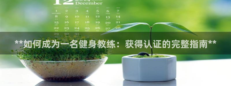 龙8国际是什么平台