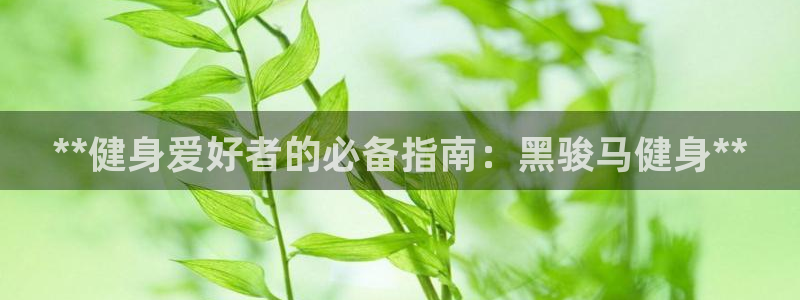 龙8国际平台