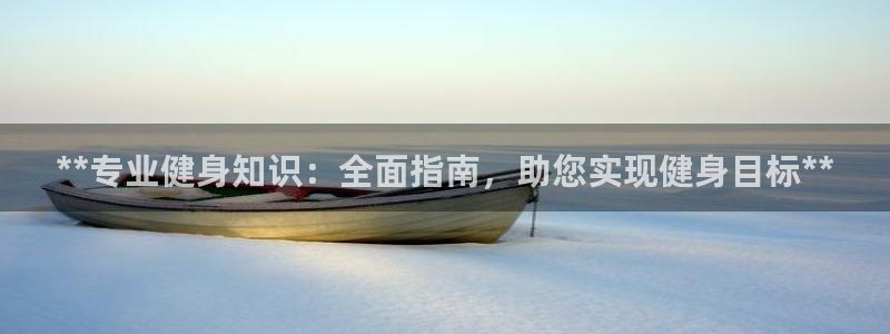 龙八国际网页