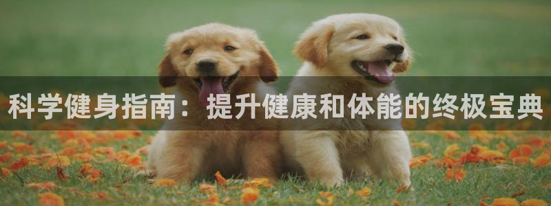 龙8国际首页