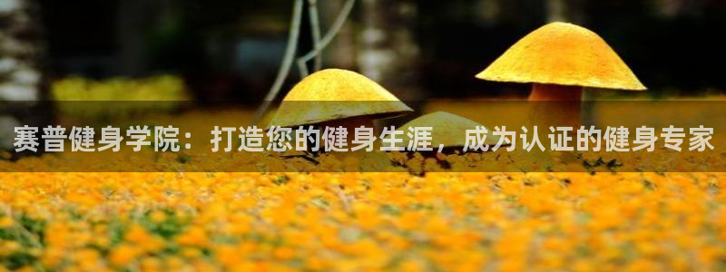 龙8国际long8官方版下载