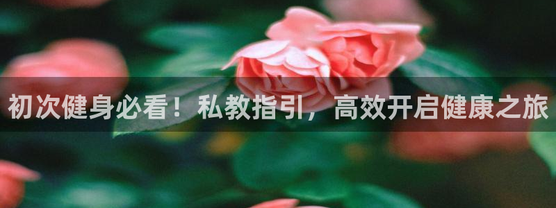 龙8官网在线试玩
