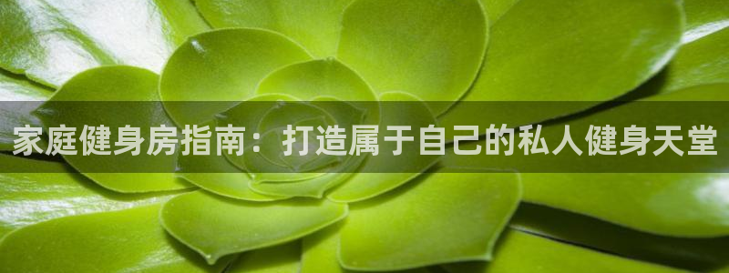 龙8国际官方网站手机版