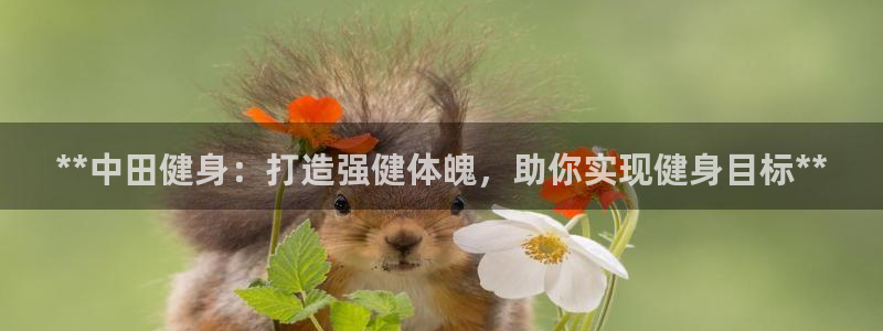龙8国际pt