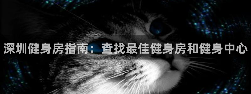 龙8国际网站怎么样