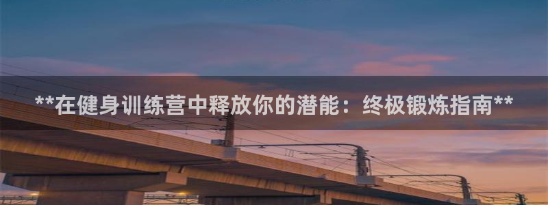 国际龙8官方网站