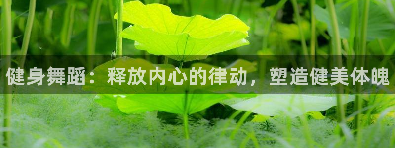 龙8国际手机版app