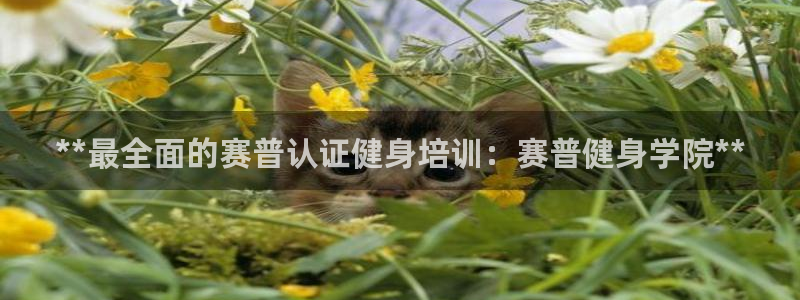龙8国际long88