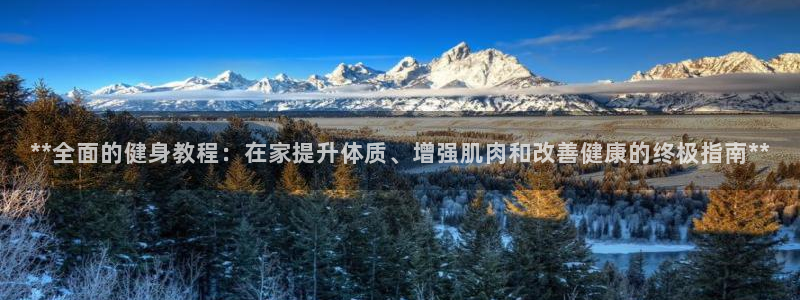 龙8国际手机版app