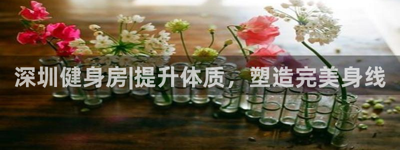 龙8国际官方网手机版下载安装