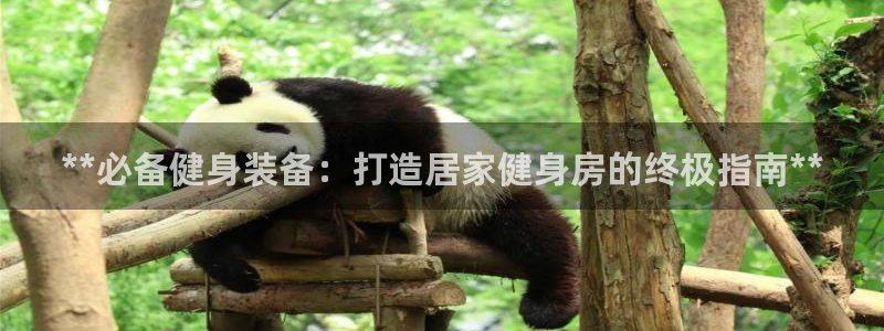 龙8游戏官方进入