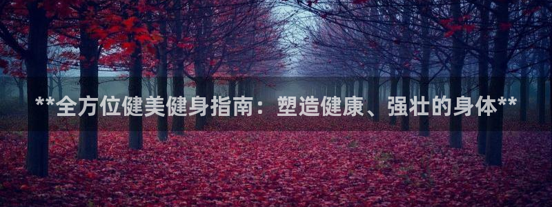 龙8国际官网登录口