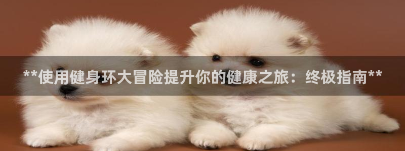 龙8国际官网版