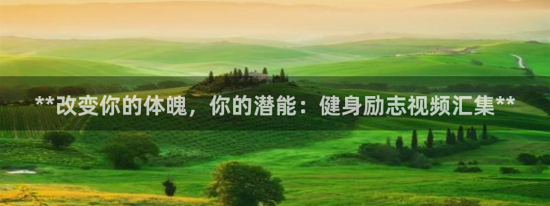 龙8国际网址