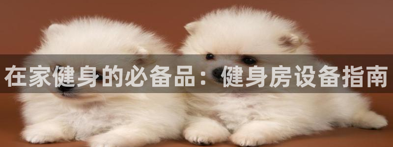 龙8国际欢迎您