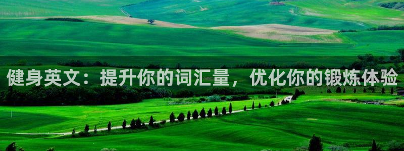 龙8官网正版