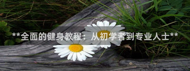 龙8国际龙8官方