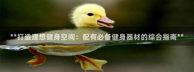 龙八国际2018最新官网
