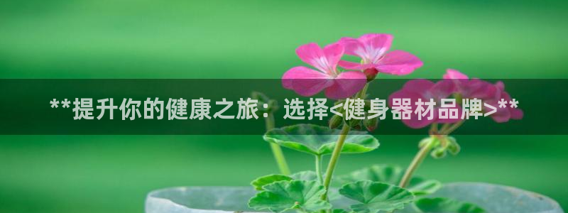 龙8电子游艺网址多少