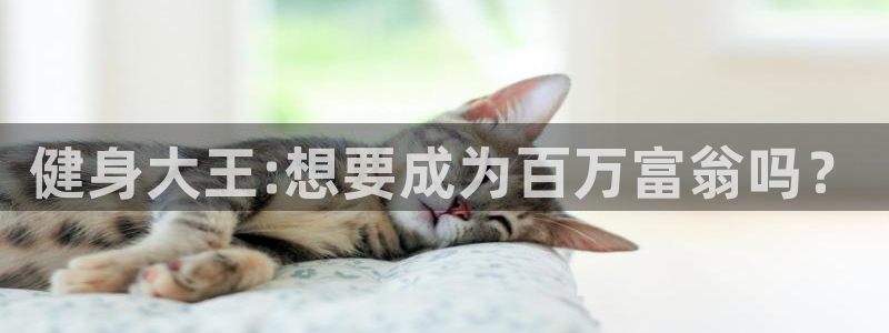 龙8国际玩家