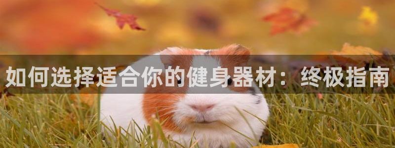 龙8国际官方下载
