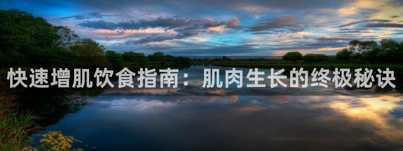 龙8国际手机版官网下载