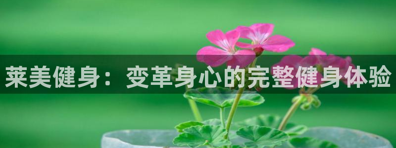 龙八国际app客户端下载不了