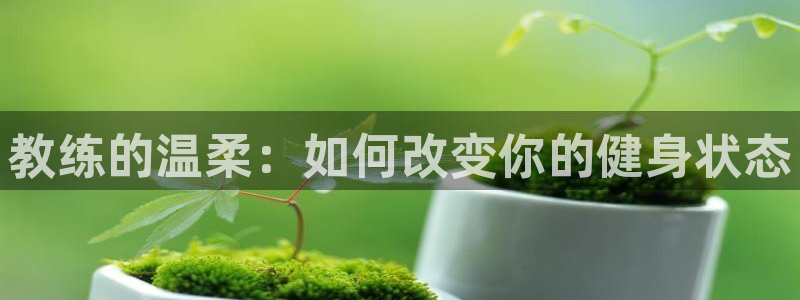 龙八国际娱乐网页多少