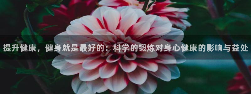 龙8国际网站怎么样