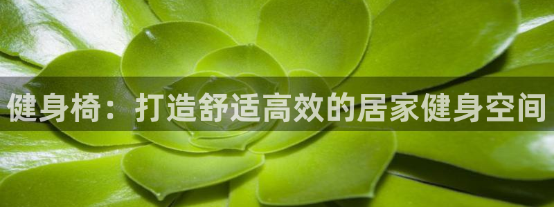 龙八国际服官网站