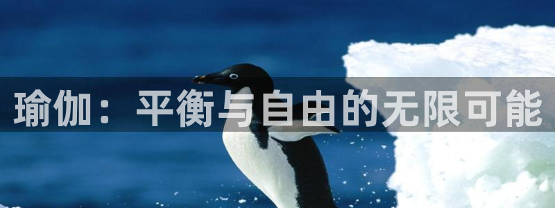 龙8国际app下载安装