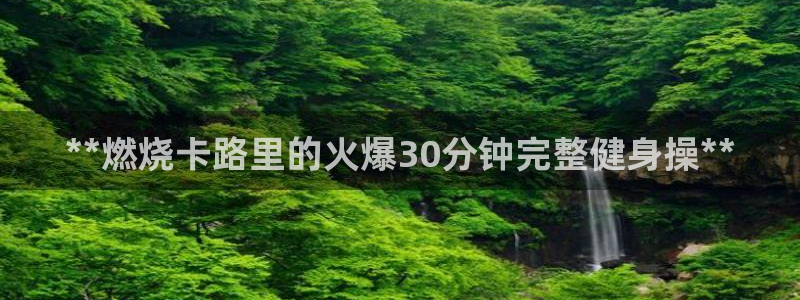 龙8国际平台官网