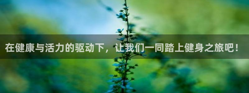 龙8国际long8