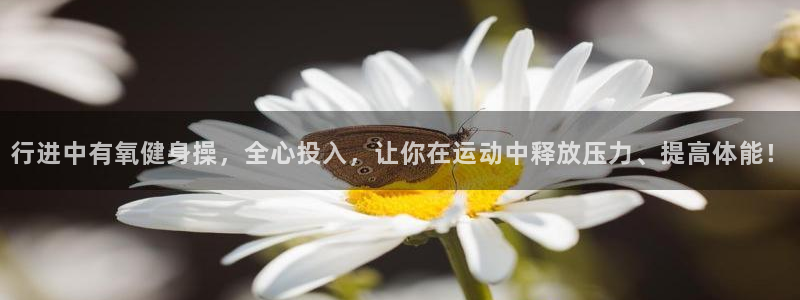 龙8国际网页版下载
