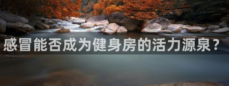 龙8国际官网进入
