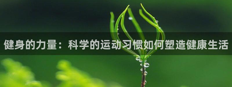 龙8国际网址多少