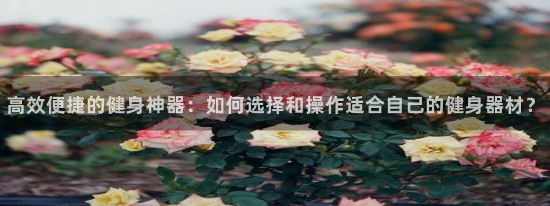 龙8国际害死多少人
