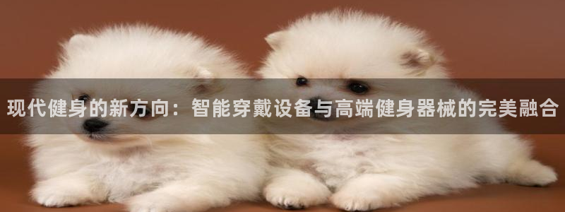 龙8国际棋牌