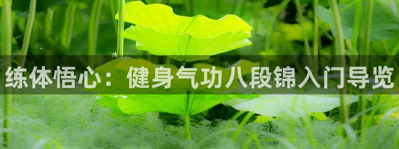 龙8国际官网版最新版下载