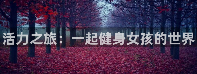 龙8国际游资如何
