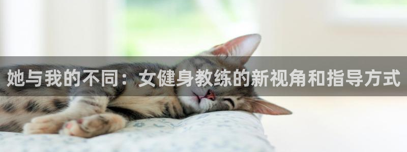 龙八国际娱乐网页多少