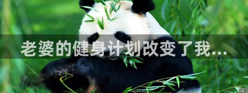 龙八国际app客户端下载不了