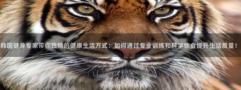 龙8国际游戏最新资讯