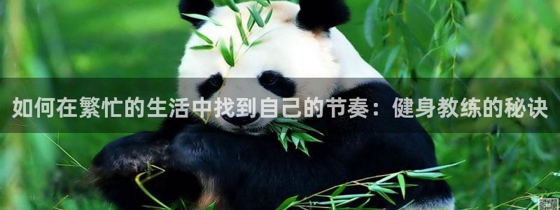 龙8国际游戏公司官网